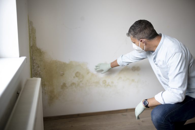 rising damp Cotswold